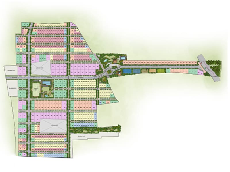 Master Layout